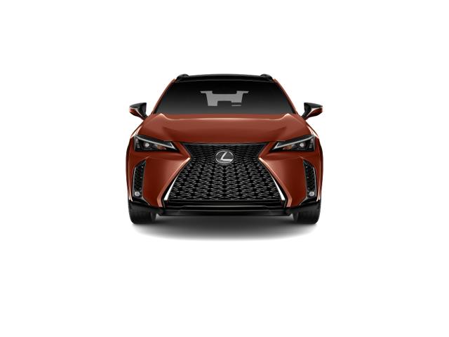 2025 Lexus UX F SPORT Design photo 5