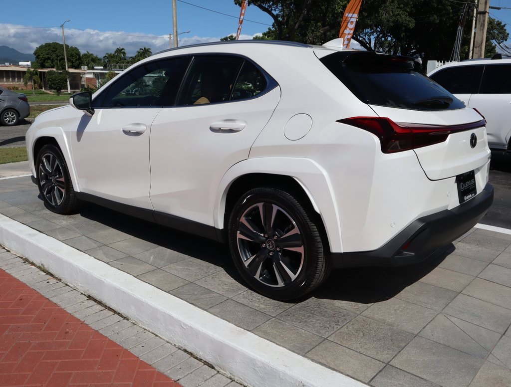 2025 Lexus UX photo 7