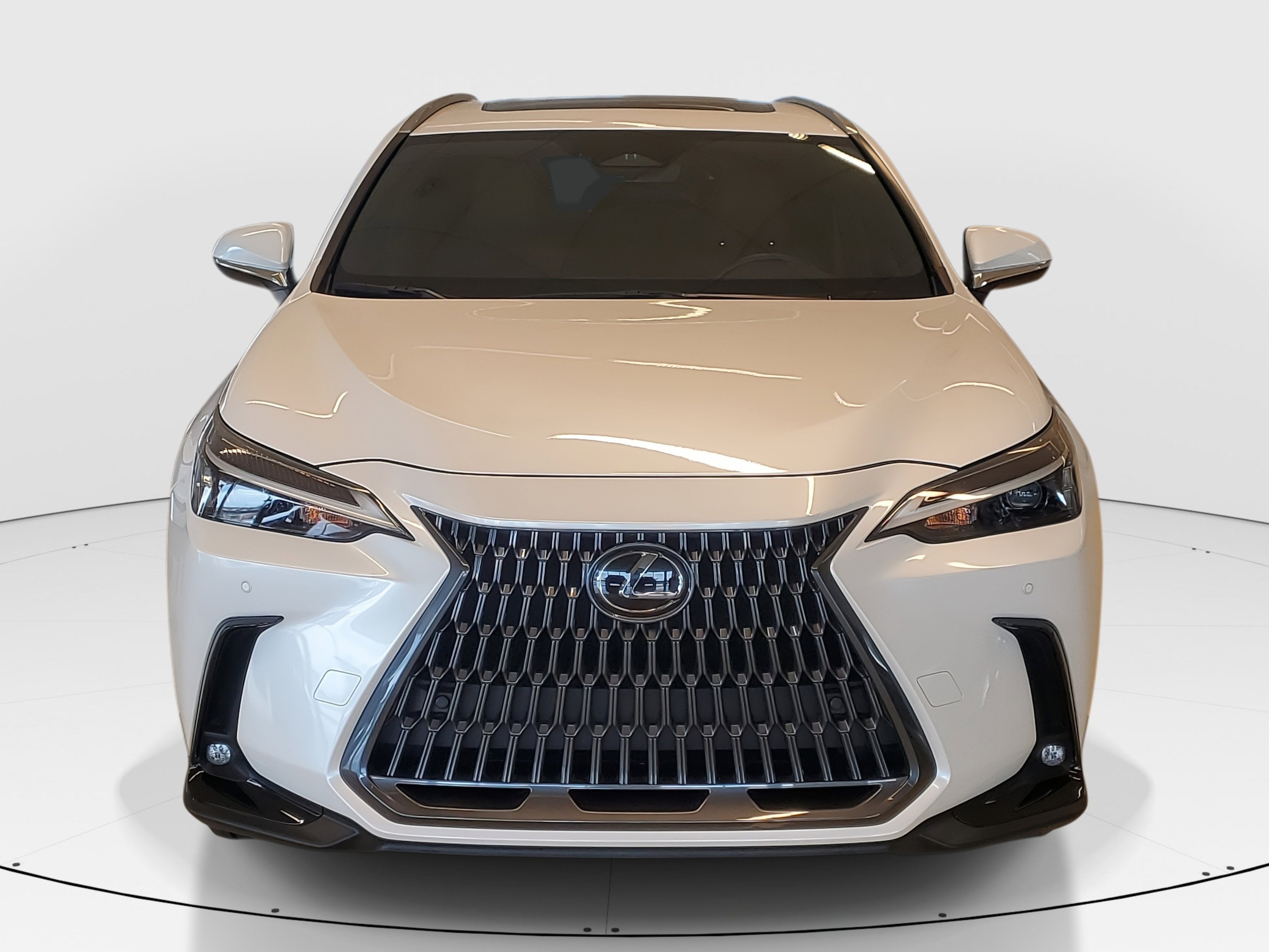 2025 Lexus NX 250 Premium photo 3