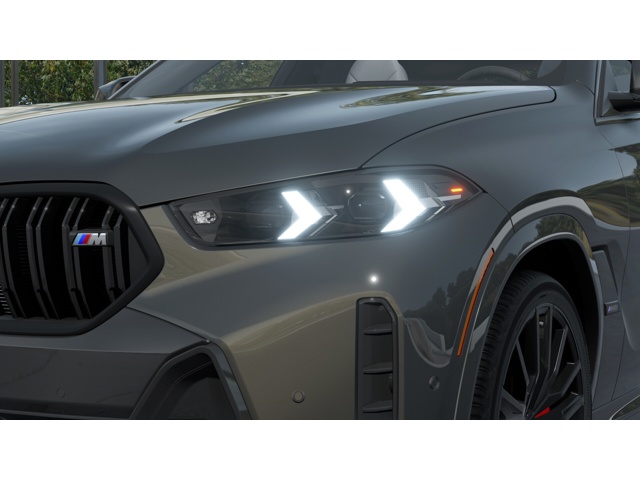 2026 Bmw X6 photo 4