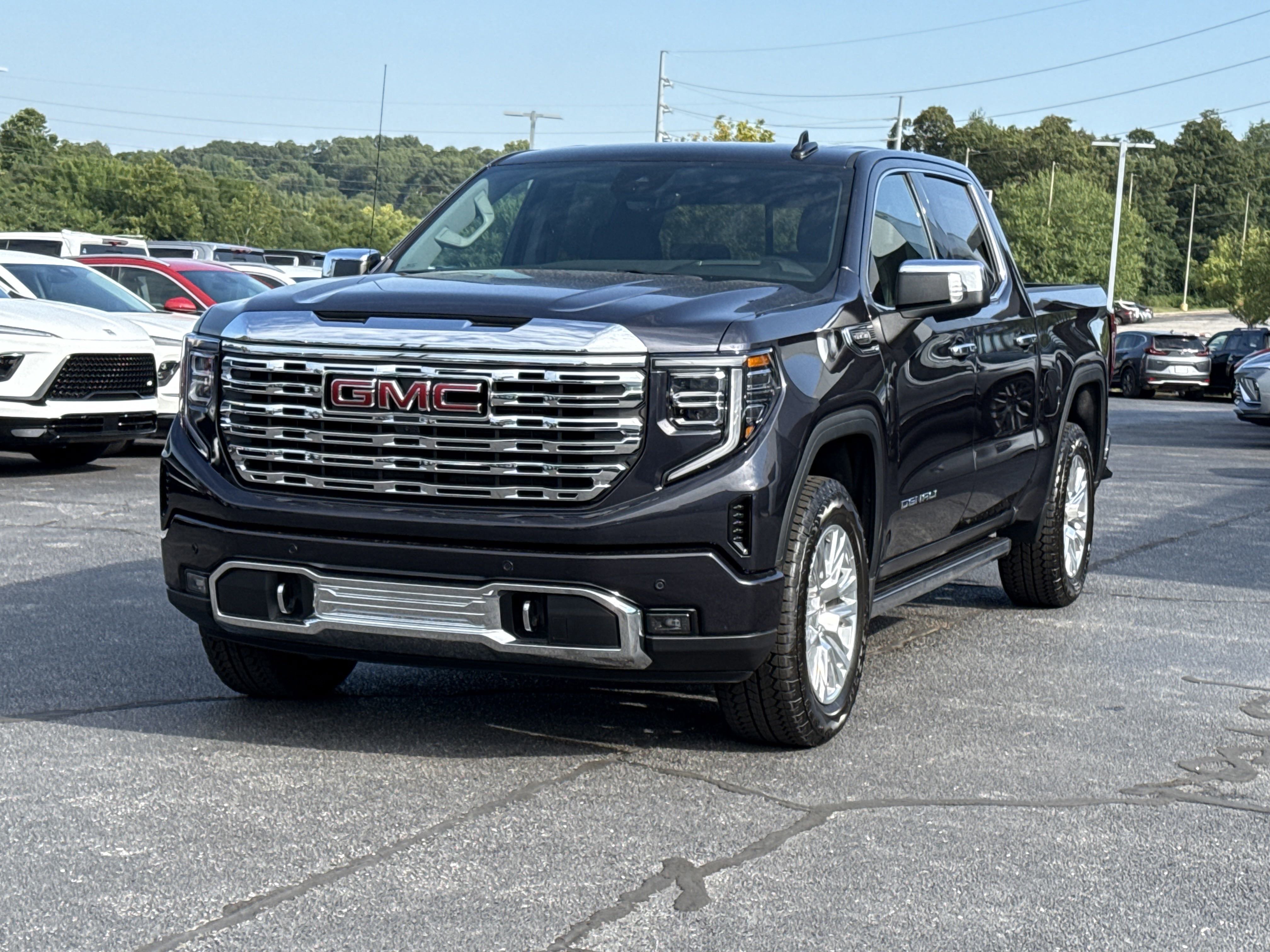 2025 Gmc Sierra Denali photo 3