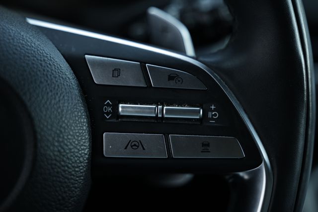 2023 Hyundai Palisade Calligraphy photo 34
