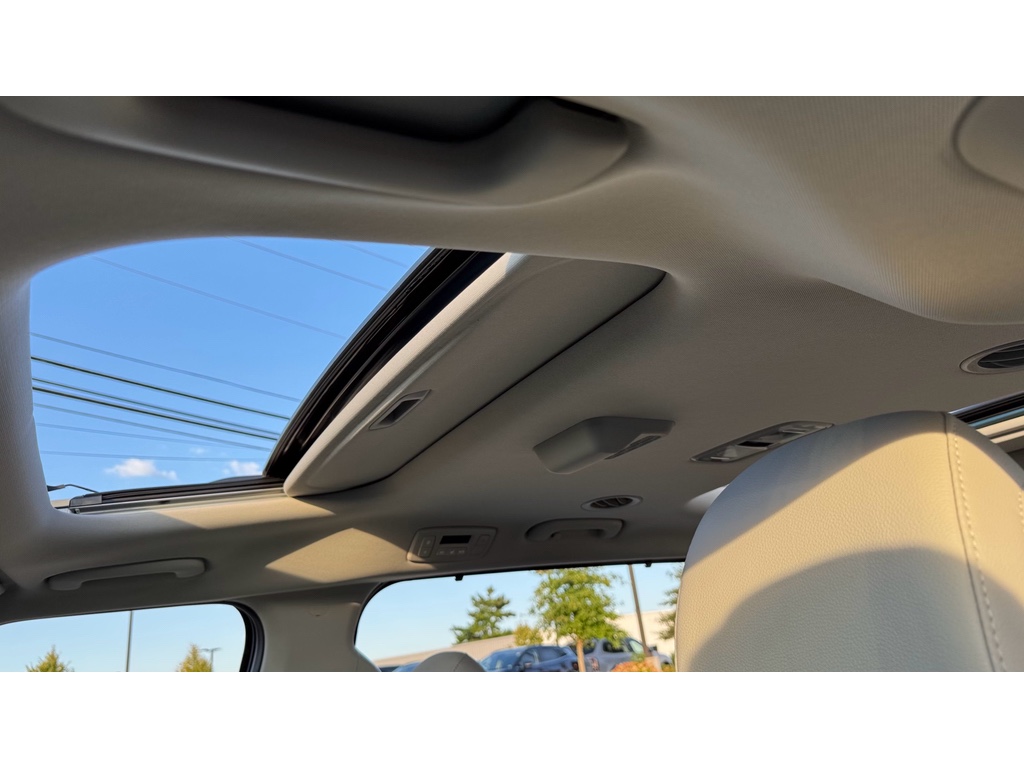 2026 Kia Carnival SX Prestige photo 20