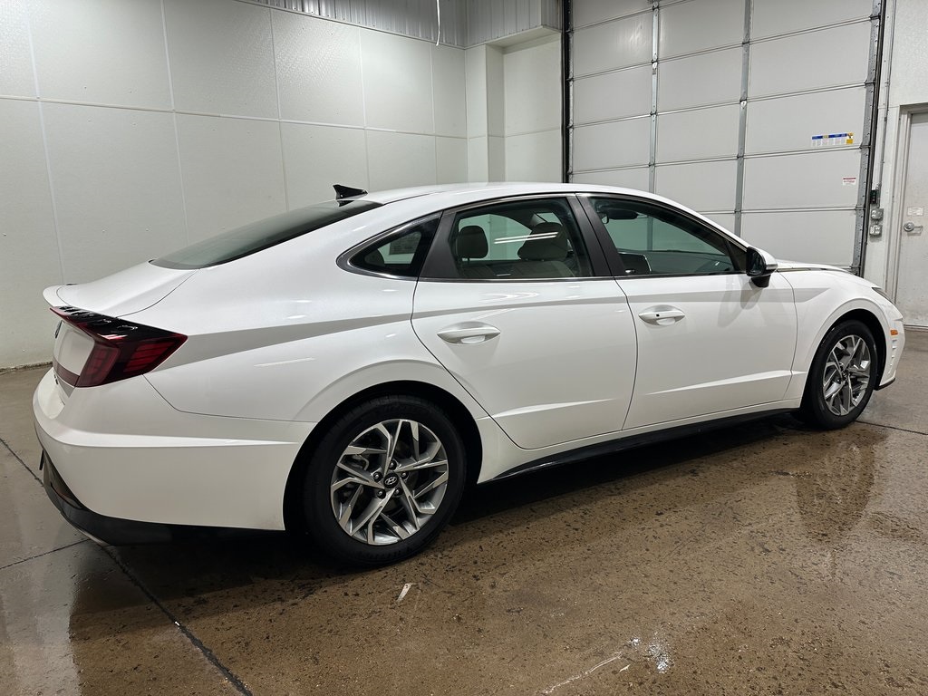 2023 Hyundai Sonata SEL photo 4