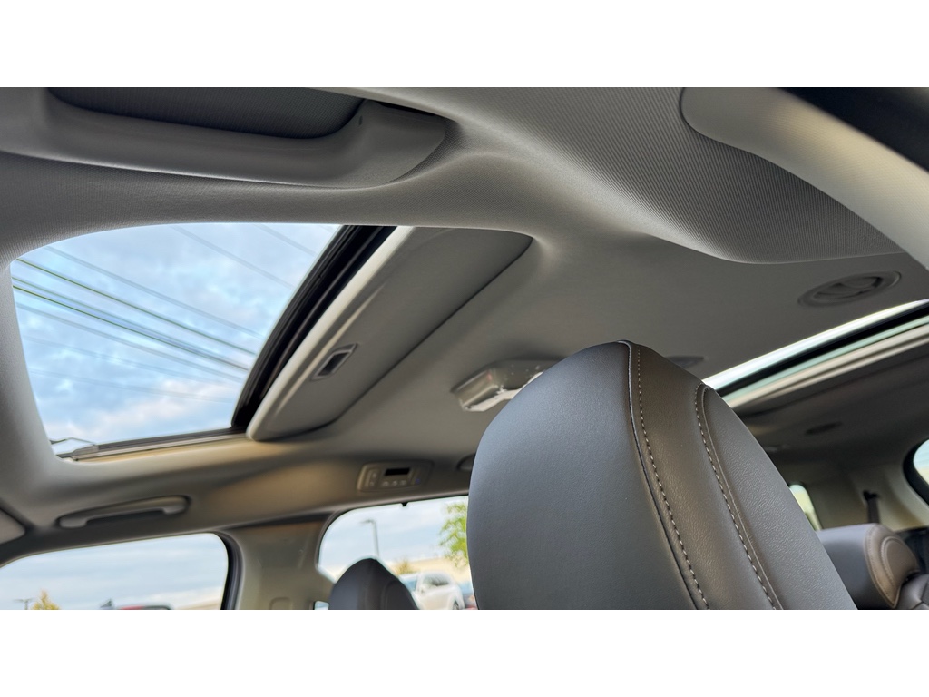 2026 Kia Carnival SX Prestige photo 20