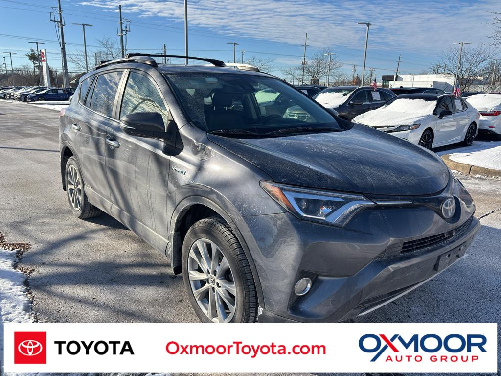 2017 Toyota RAV4 Limited's photo
