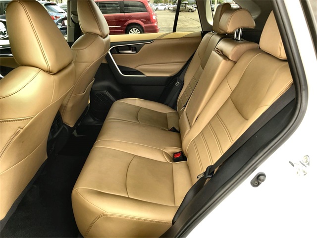 2025 Toyota RAV4 XLE Premium photo 11