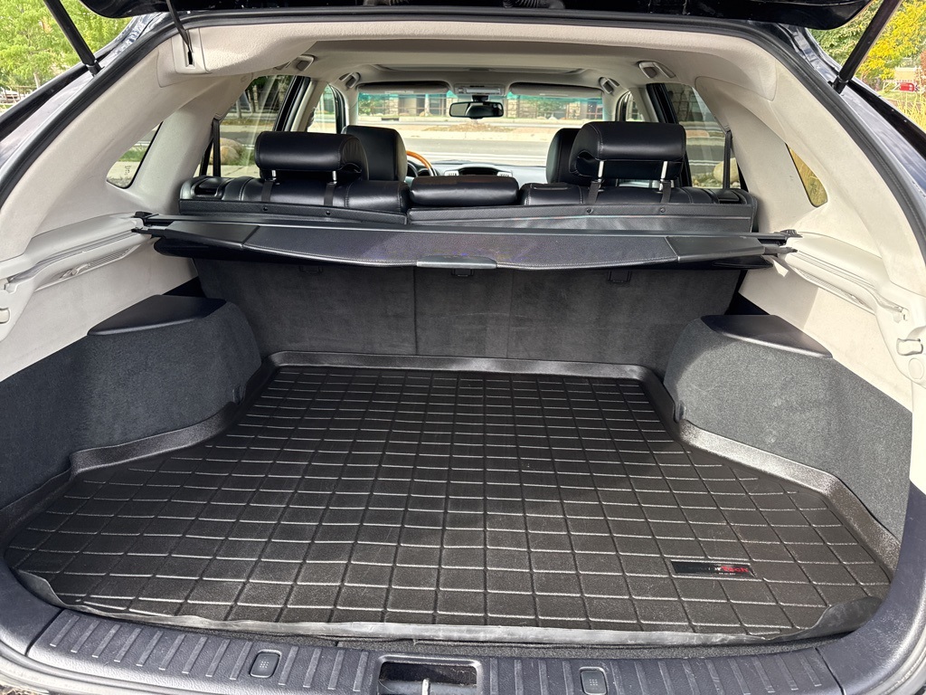 2008 Lexus RX 350 photo 10