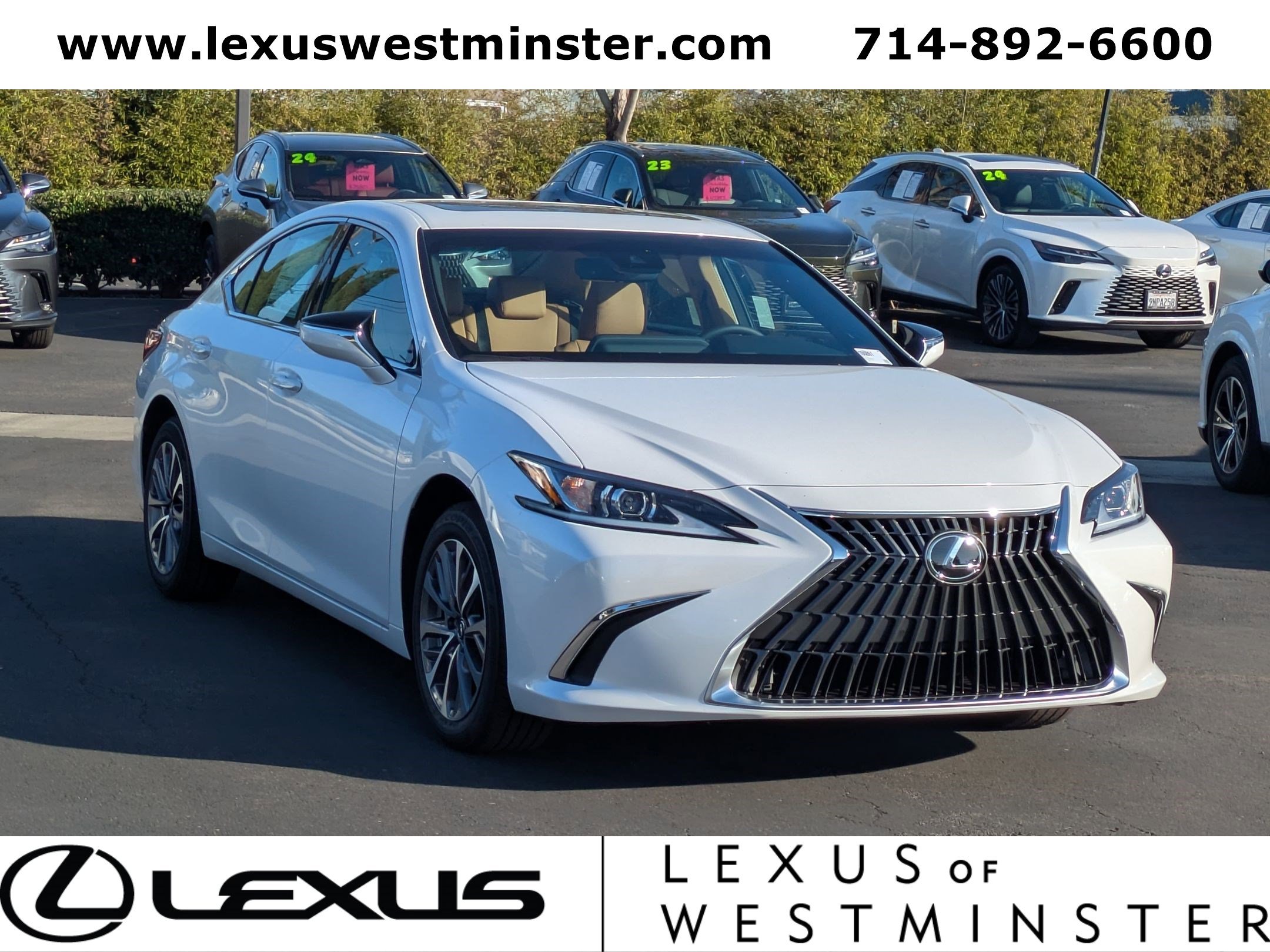 2025 Lexus ES 350 Base photo 3