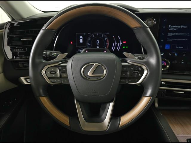 2024 Lexus RX 350 photo 13