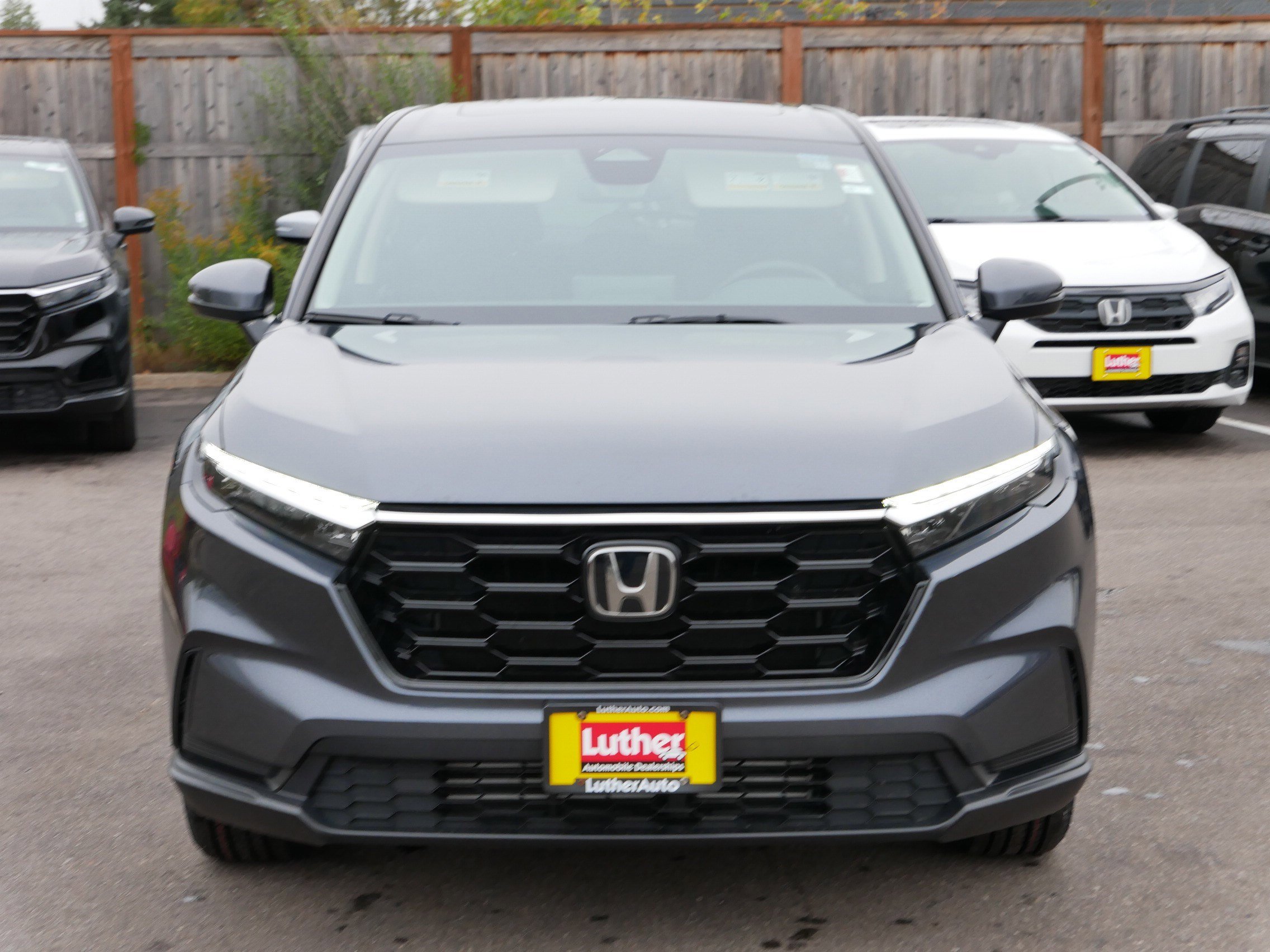Certified 2024 Honda CR-V EX with VIN 2HKRS4H49RH419996 for sale in Hopkins, Minnesota