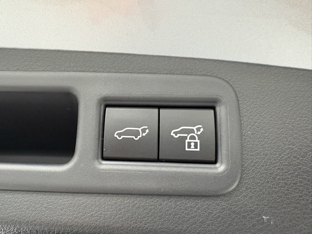 2024 Lexus RX 350 Premium photo 25