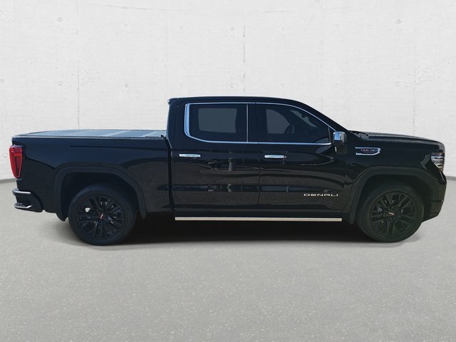 2022 Gmc Sierra 1500 Denali photo 4