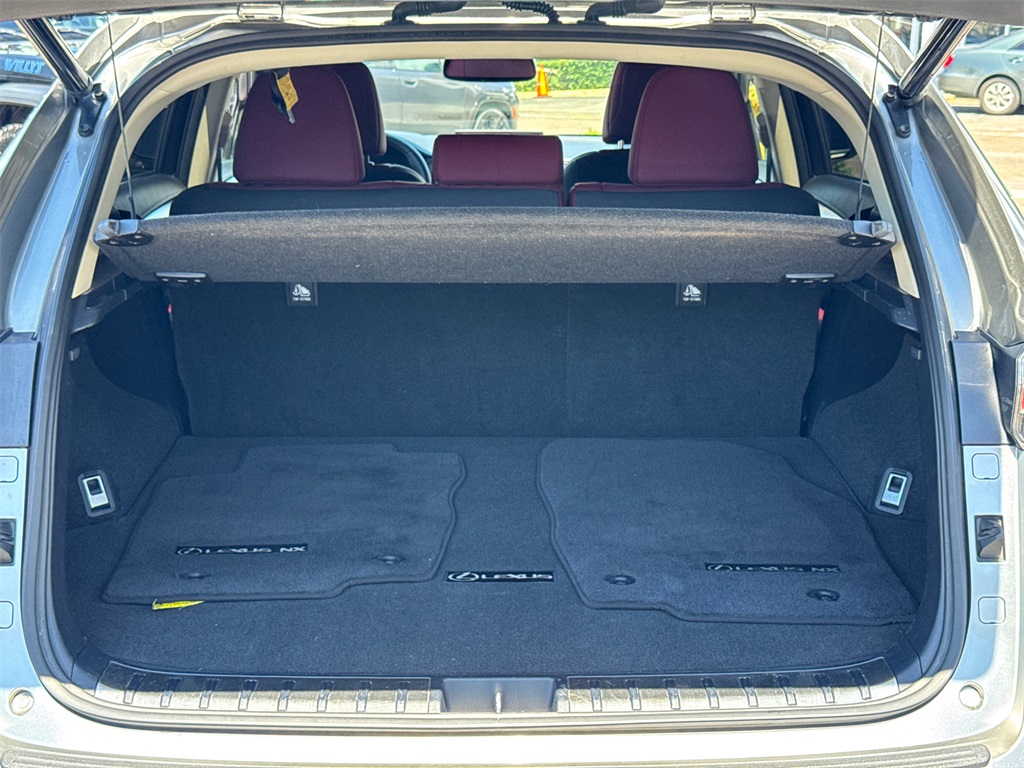 2018 Lexus NX 300h Luxury photo 13