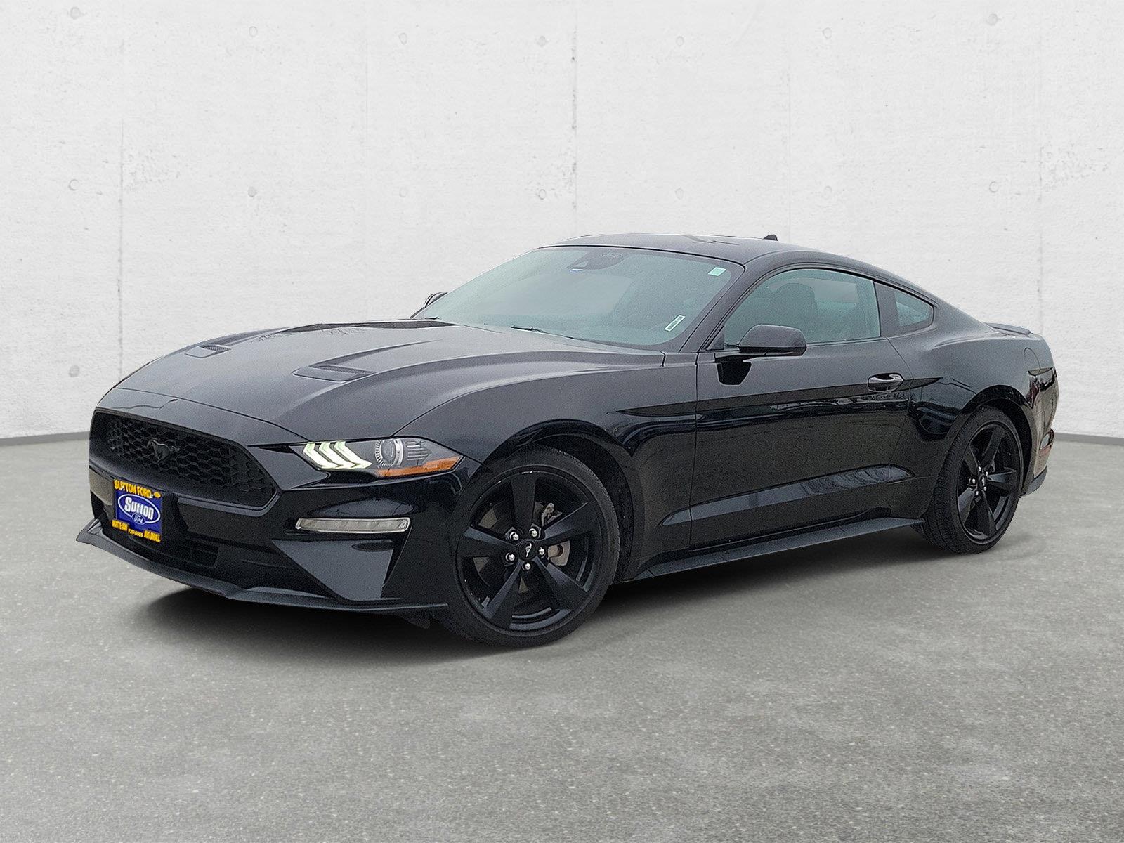 2022 Ford Mustang EcoBoost's photo