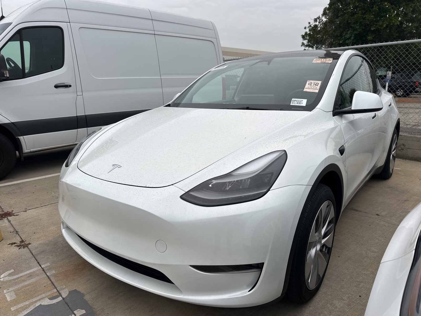 2023 Tesla Model Y Base's photo