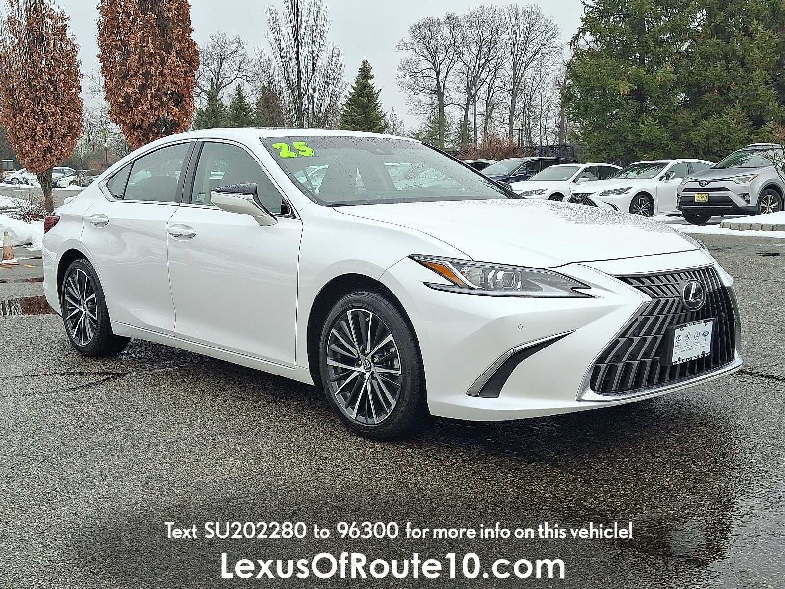 2025 Lexus ES 350's photo