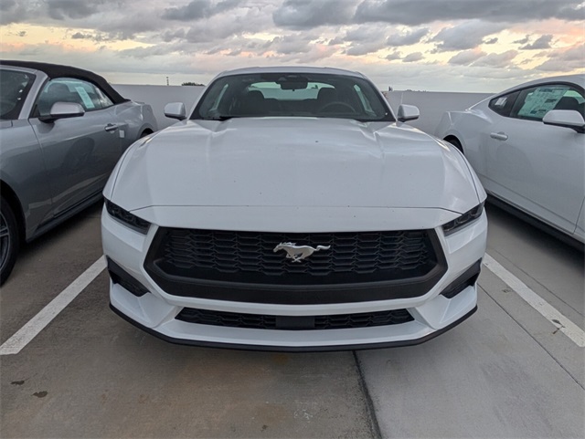 2025 Ford Mustang EcoBoost photo 3