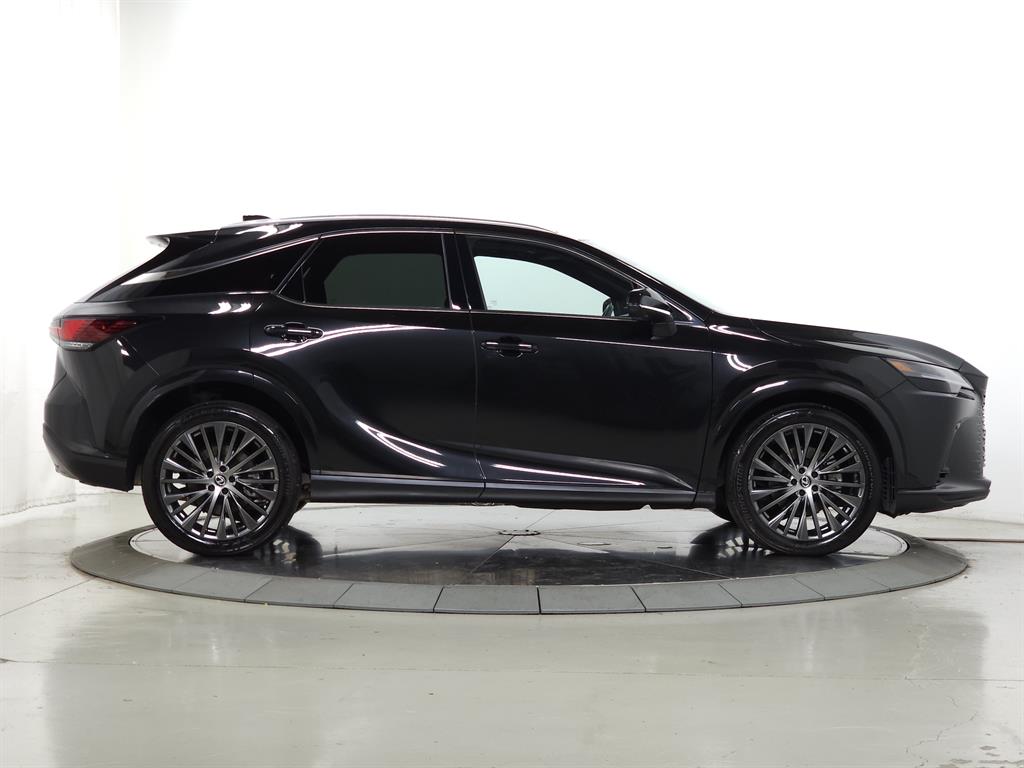 2024 Lexus RX 350 photo 7