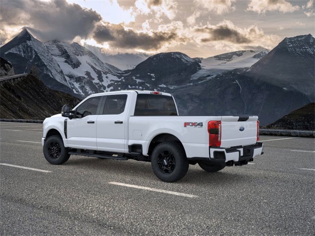 2025 Ford F-350 photo 4