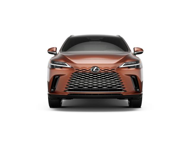 2026 Lexus RX 350h Luxury photo 4