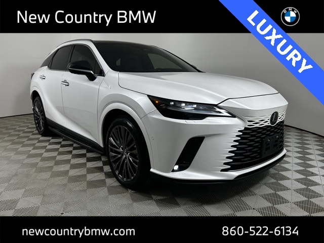 2024 Lexus RX 350's photo