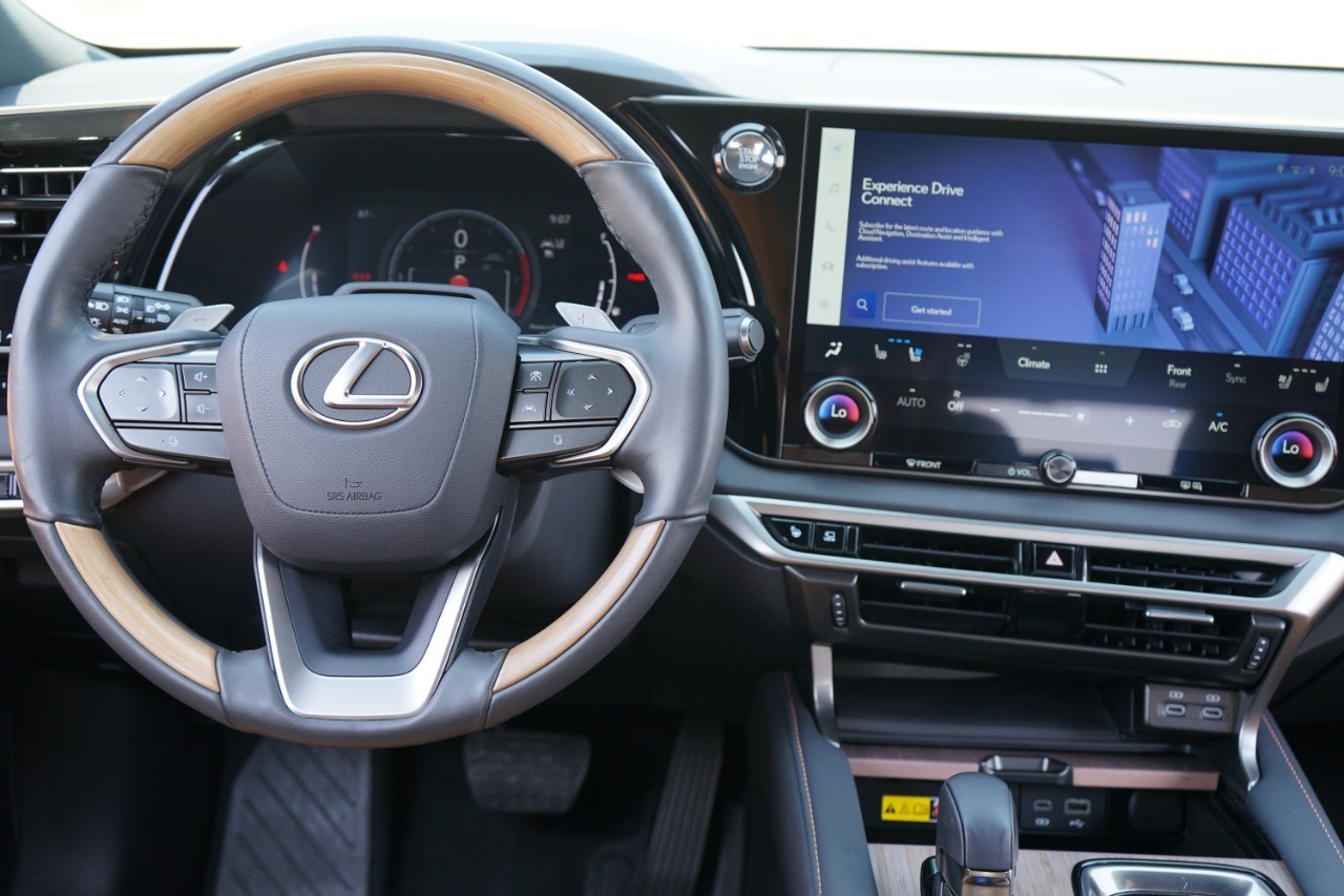 2024 Lexus RX 350 Premium photo 28