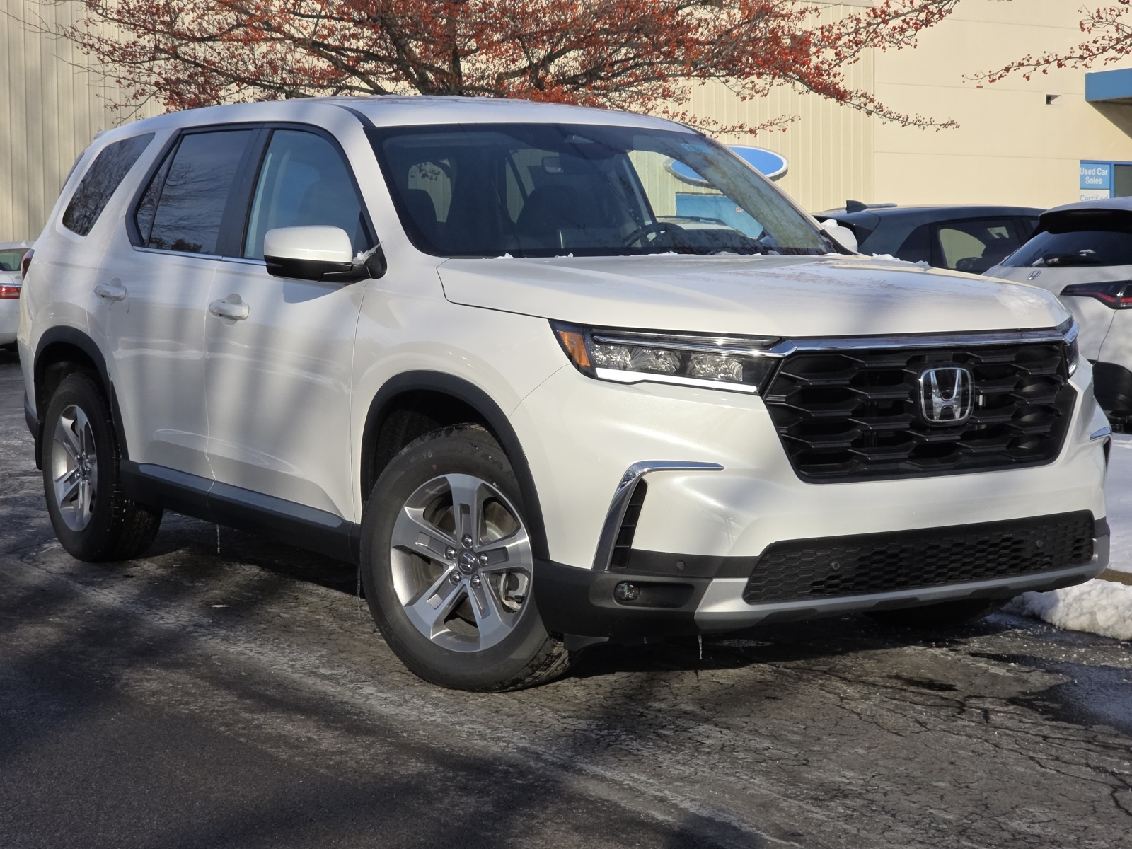 2025 Honda Pilot EX-L's photo