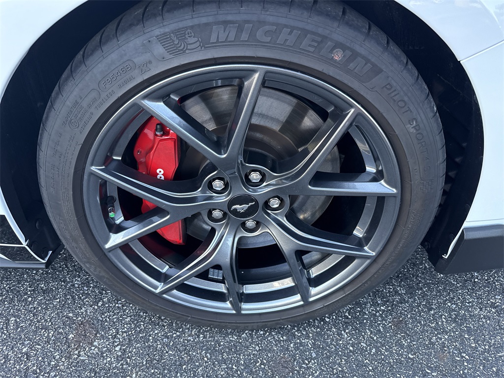 2022 Ford Mustang Mach 1 photo 13