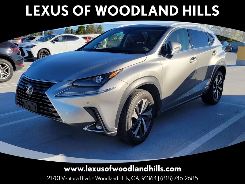 2019 Lexus NX Hybrid 300h's photo