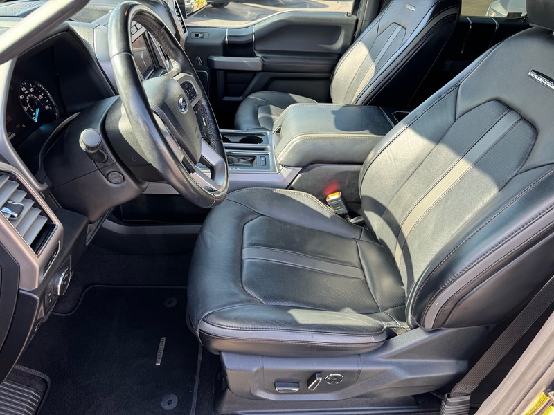 2020 Ford F-150 Platinum photo 10