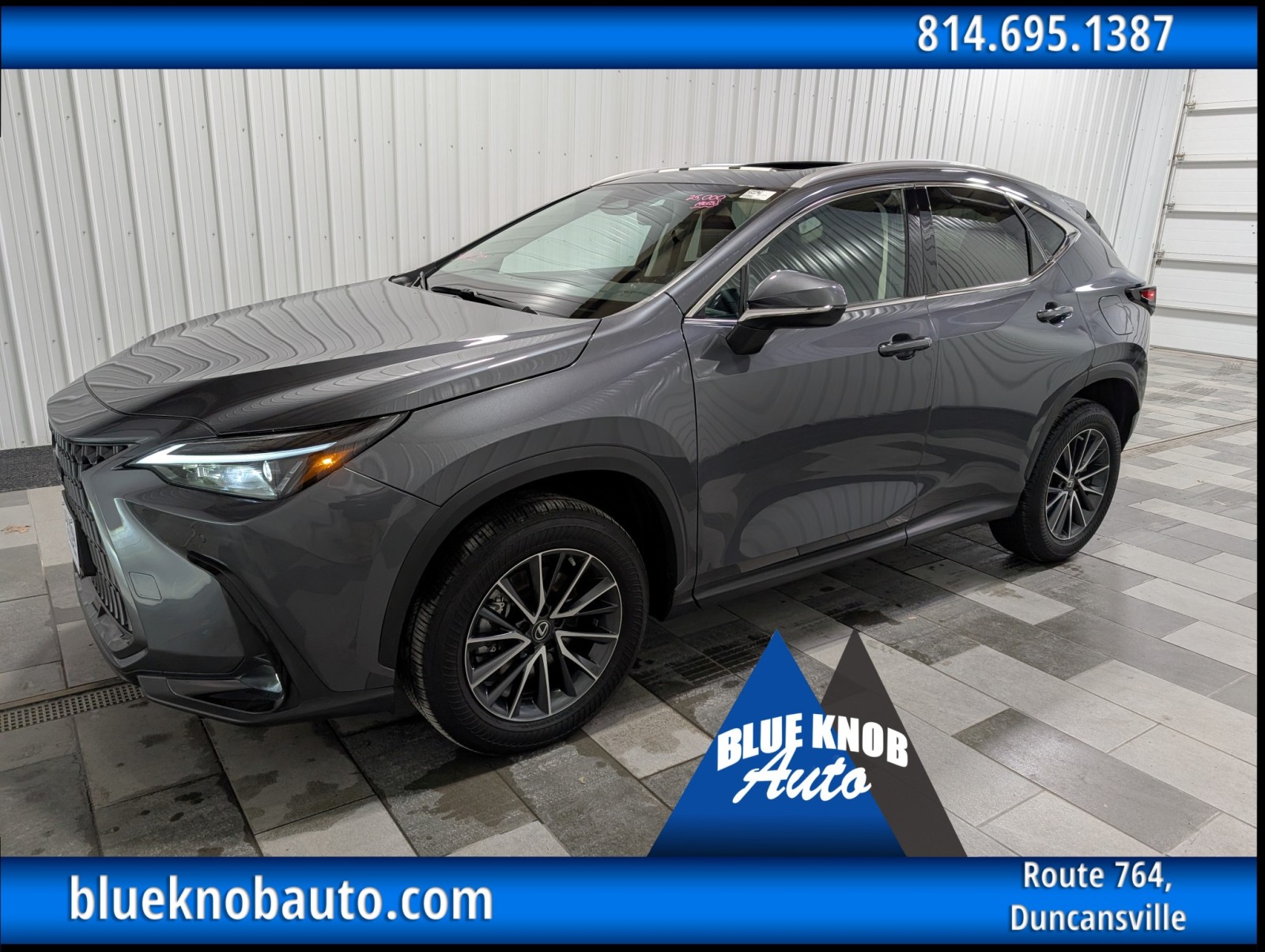 2023 Lexus NX 350's photo