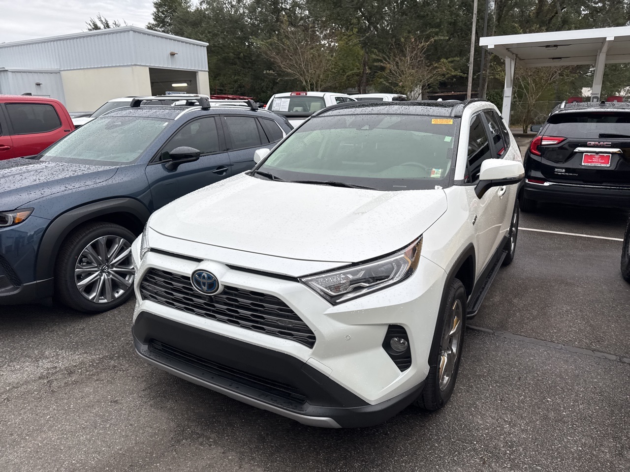 2020 Toyota RAV4 Limited's photo