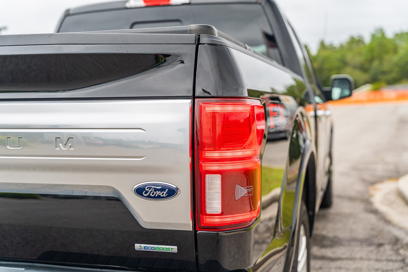 2018 Ford F-150 Platinum photo 13