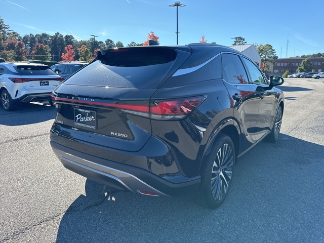 2025 Lexus RX 350 Premium photo 3