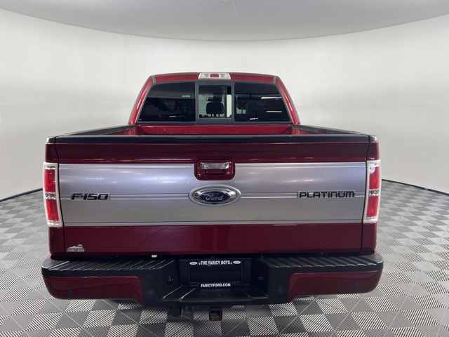 2013 Ford F-150 Platinum photo 5