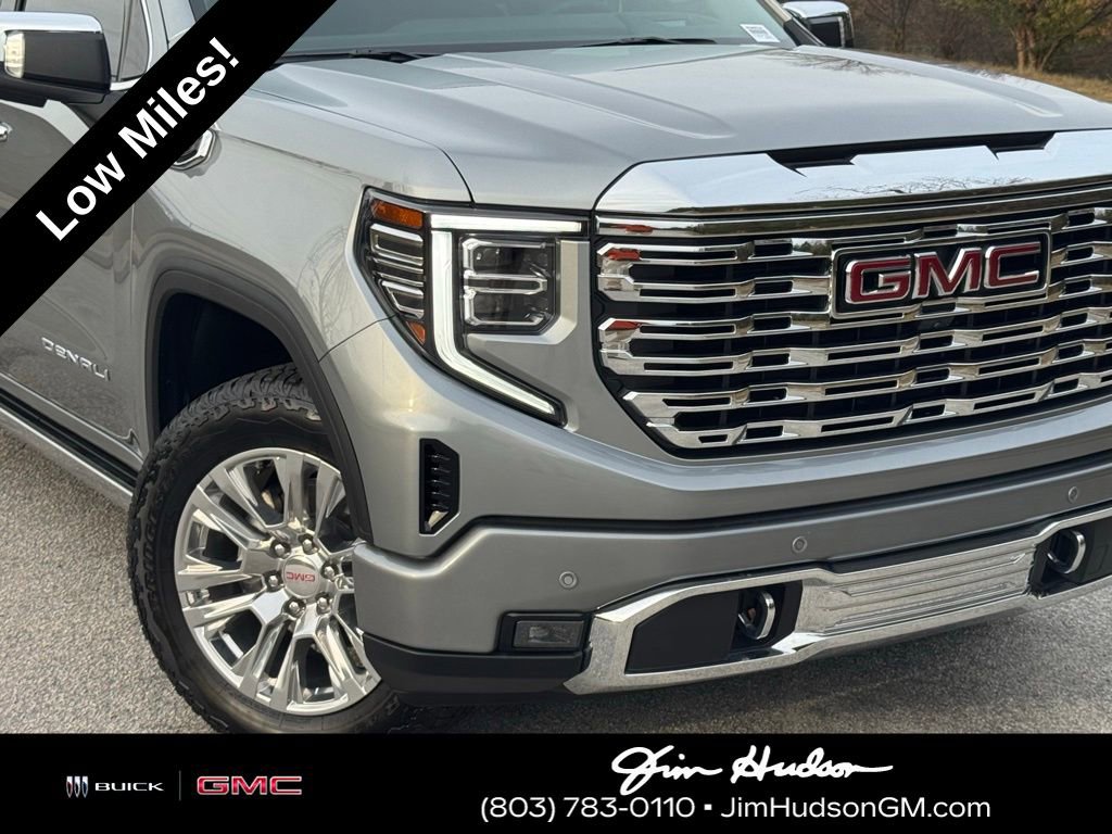 2024 Gmc Sierra 1500 Denali photo 3
