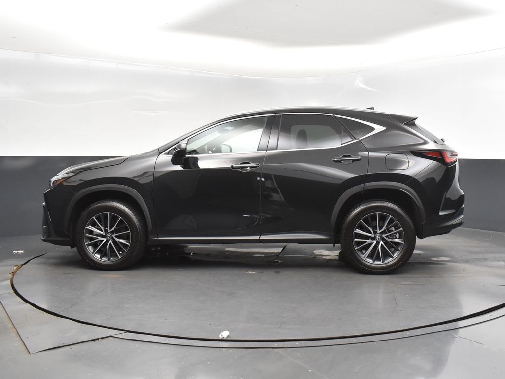 2024 Lexus NX 250 photo 4