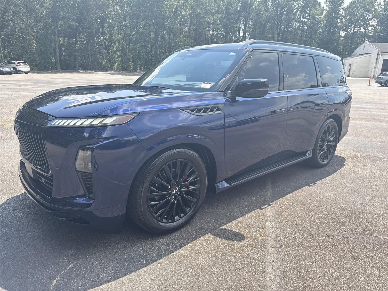 2025 Infiniti QX80 photo 28