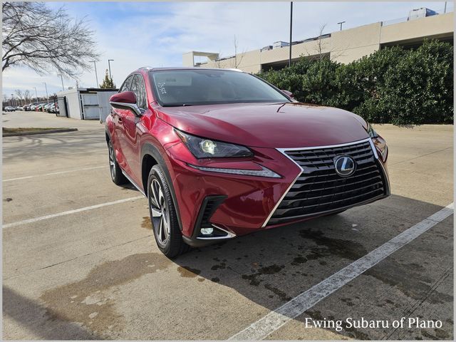 2020 Lexus NX Hybrid 300h's photo