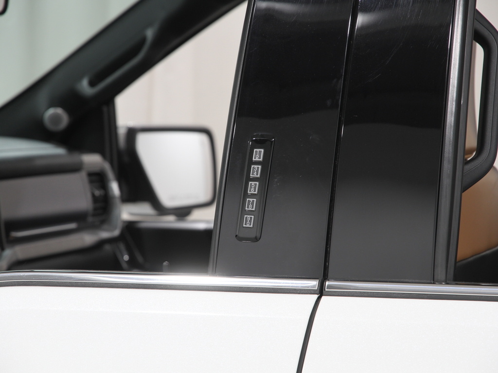 2021 Ford F-150 Platinum photo 4