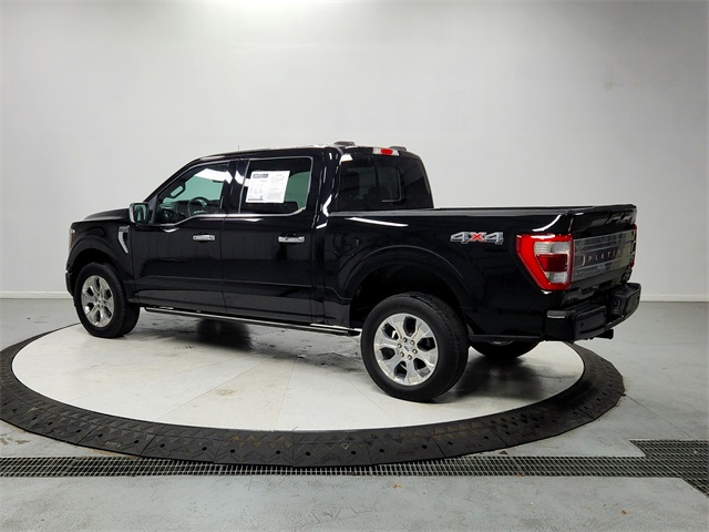 2023 Ford F-150 Platinum photo 5