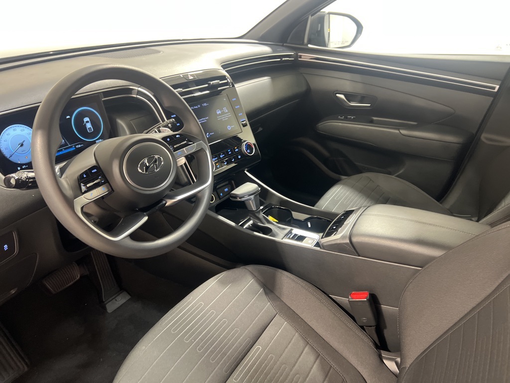 2023 Hyundai Santa Cruz Night photo 6