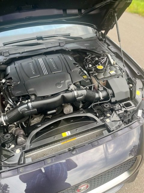 Used 2016 Jaguar XF R-Sport with VIN SAJBL4BV5GCY15966 for sale in Roseville, Minnesota