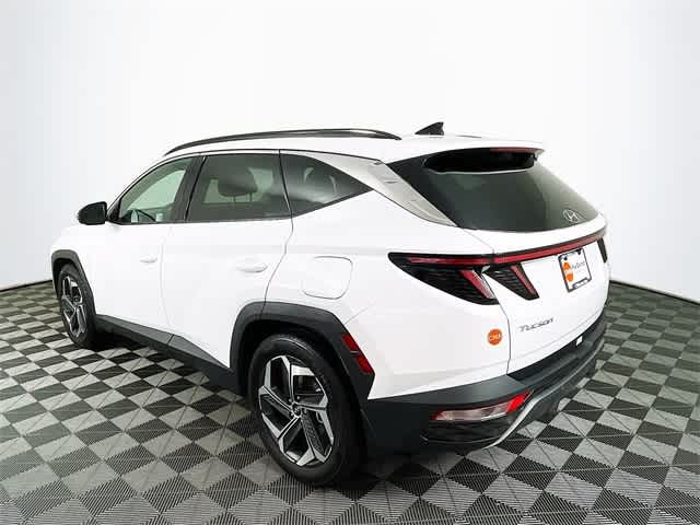 2024 Hyundai Tucson Limited photo 5