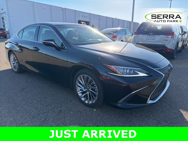 2019 Lexus ES 350 Luxury photo 2