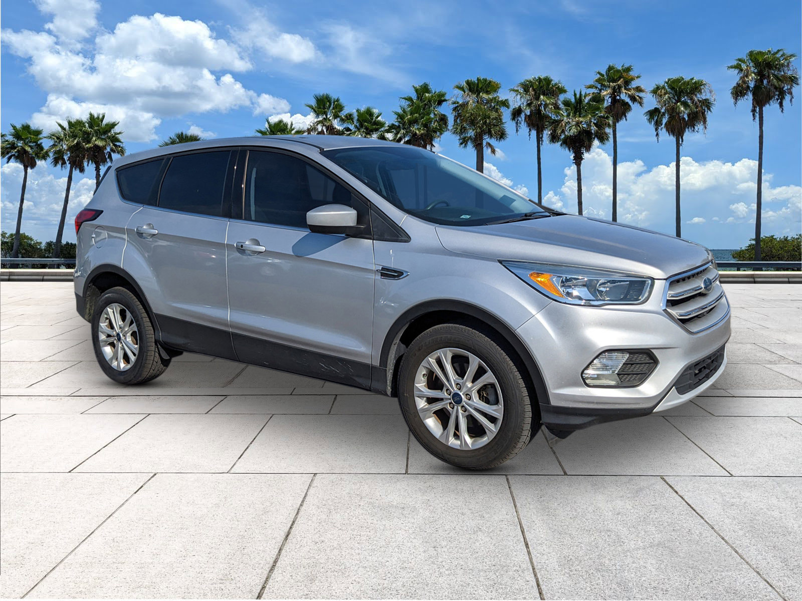 2019 Ford Escape SE photo 2