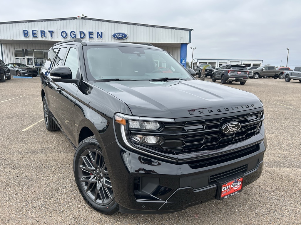 2025 Ford Expedition Platinum's photo