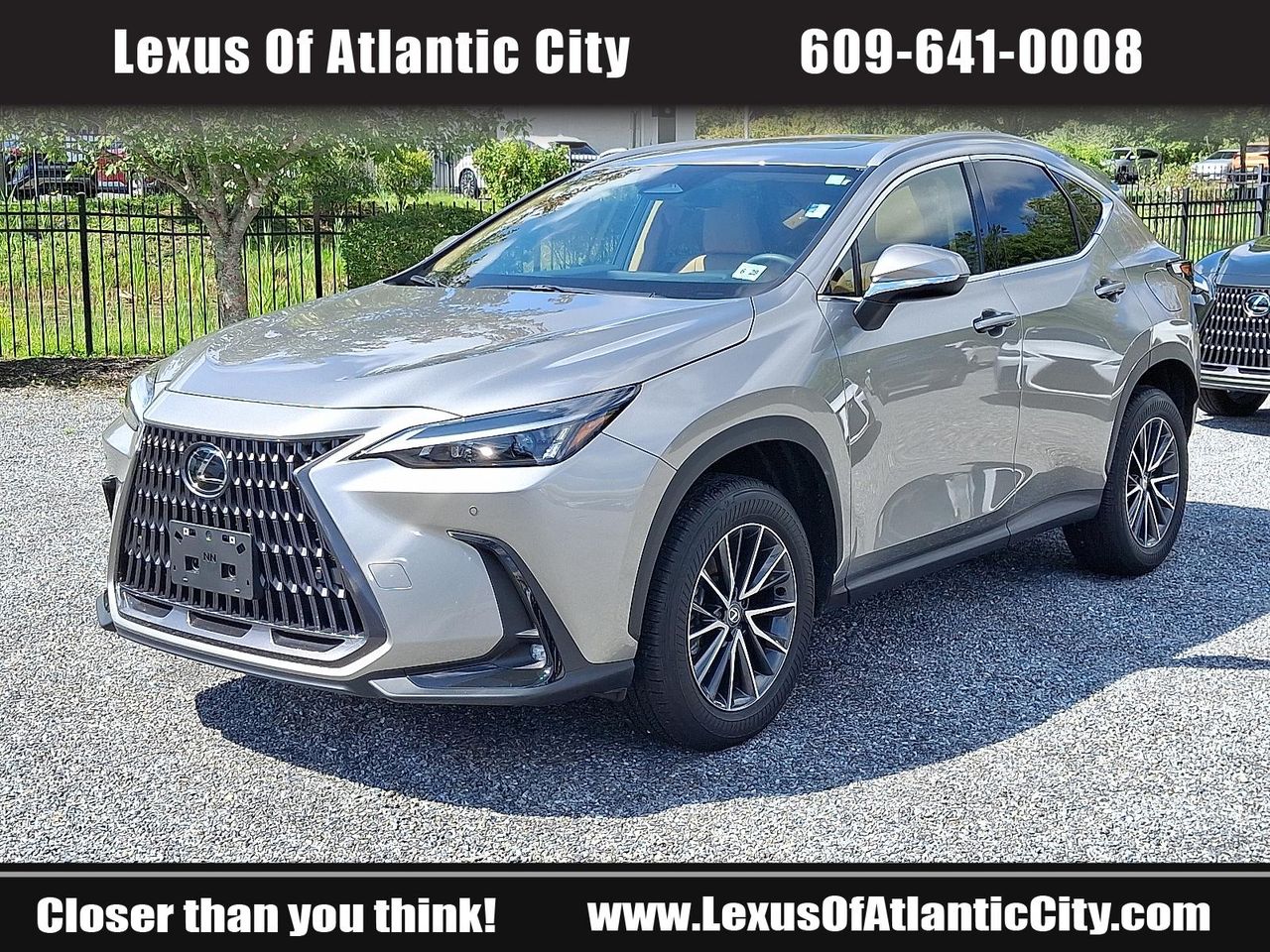 2025 Lexus NX 350h Premium photo 3