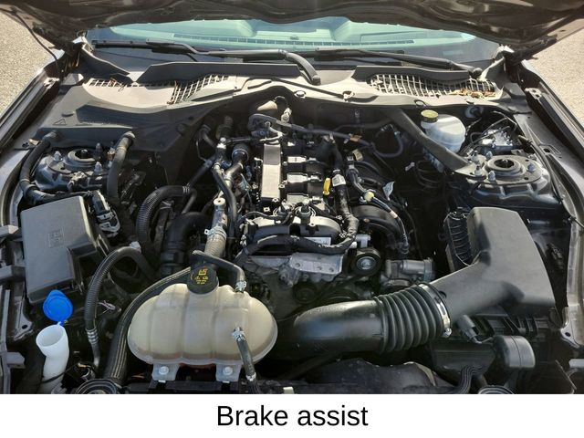 2022 Ford Mustang EcoBoost Premium photo 8